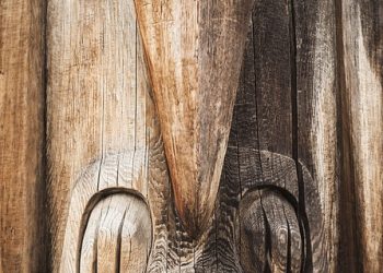 The Cradle of Civilization: Exploring the Wonders of Mesopotamia